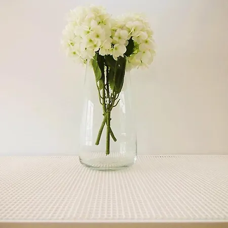 Flat 2 Bedrooms Palmeira 아파트 *